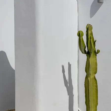 Serenity Tatil Evi *